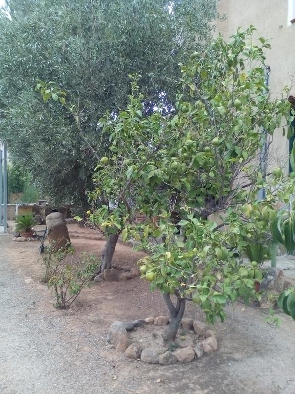 B&B Il Vigneto Капотера Екстериор снимка